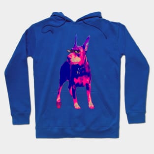 Shady Boof Hoodie Hoodie